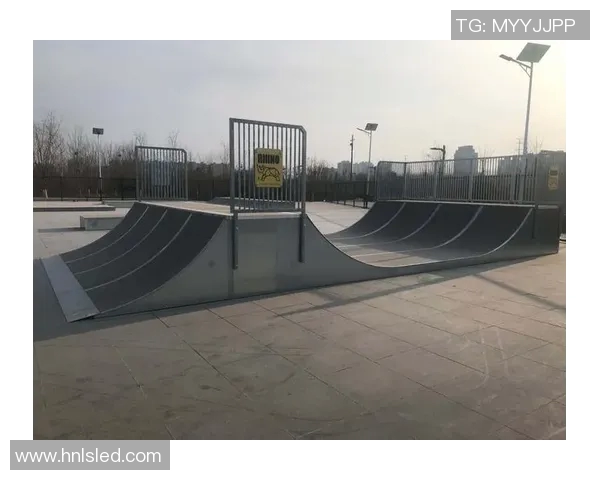 杭州滑板队的运营模式与发展趋势深度解析